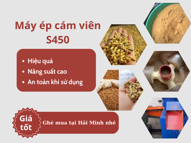 Máy ép cám viên S450 